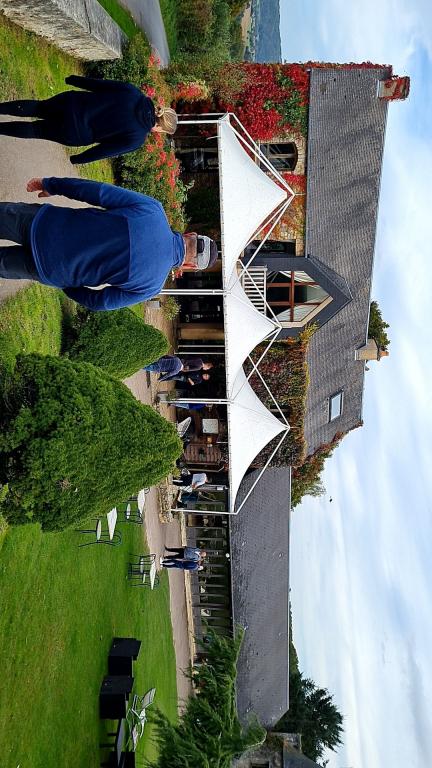 rando quadagadooo octobre 2024